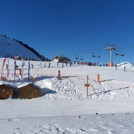Cozy Aux Pieds Des Pistes, Balcon, Animaux Admis Apartment *